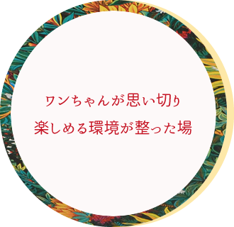 ワンちゃんが思い切り楽しめる環境が整った場